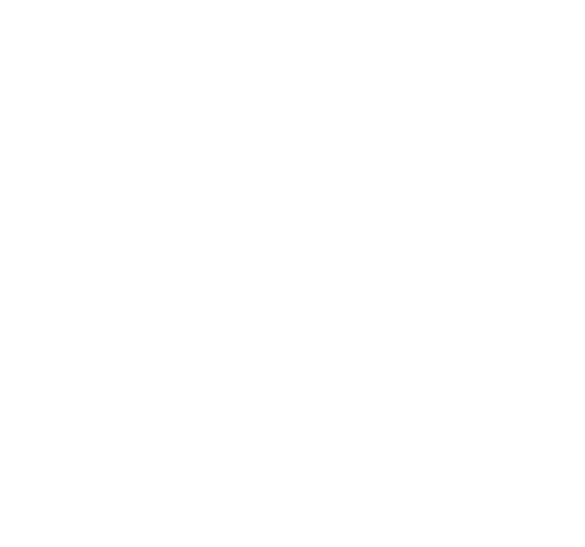 MFSYS Microfinance System